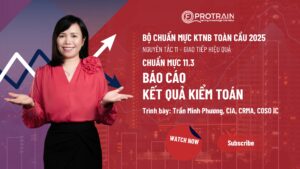 Chuẩn mực 11.3 - Báo cáo kết quả kiểm toán